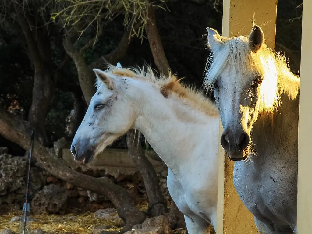 Finca Hotel Rural Predio Son Serra Can Picafort  Country house Can Picafort (Mallorca)